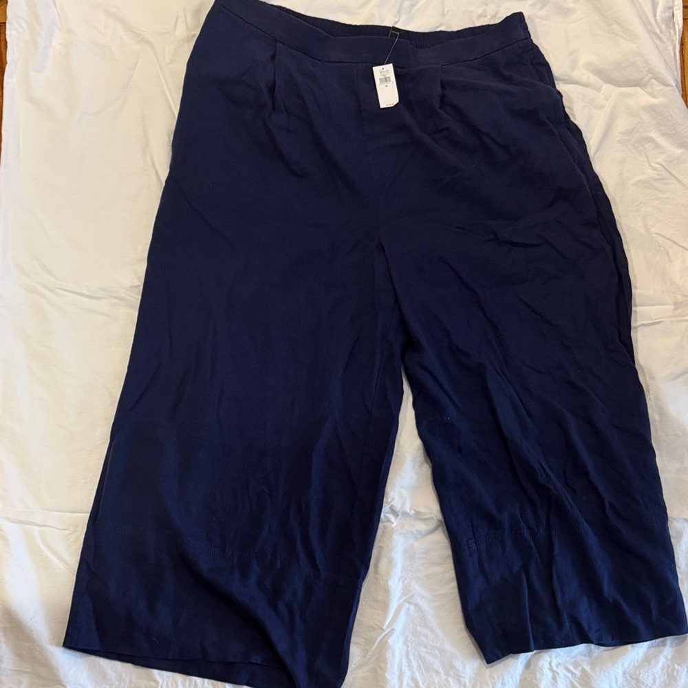 Banana Republic Factory Dark Blue Cropped Wide leg Pants